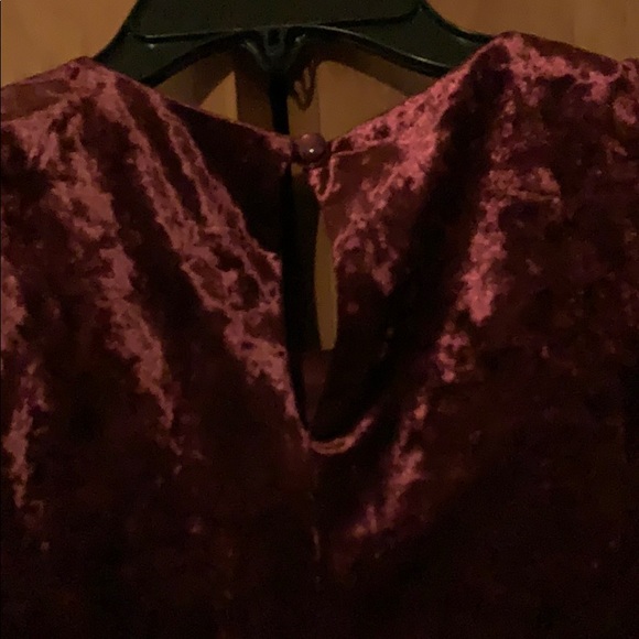 Velvet Dress - Picture 3 of 3